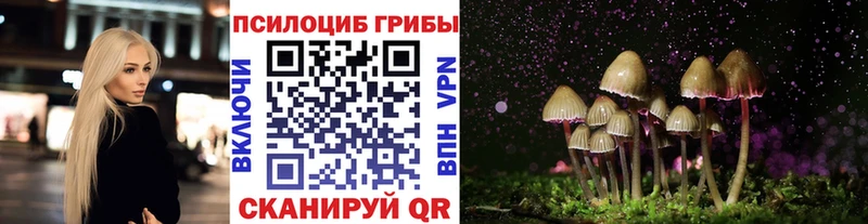 ссылка на мегу как войти Барыш Галлюциногенные грибы Magic Shrooms